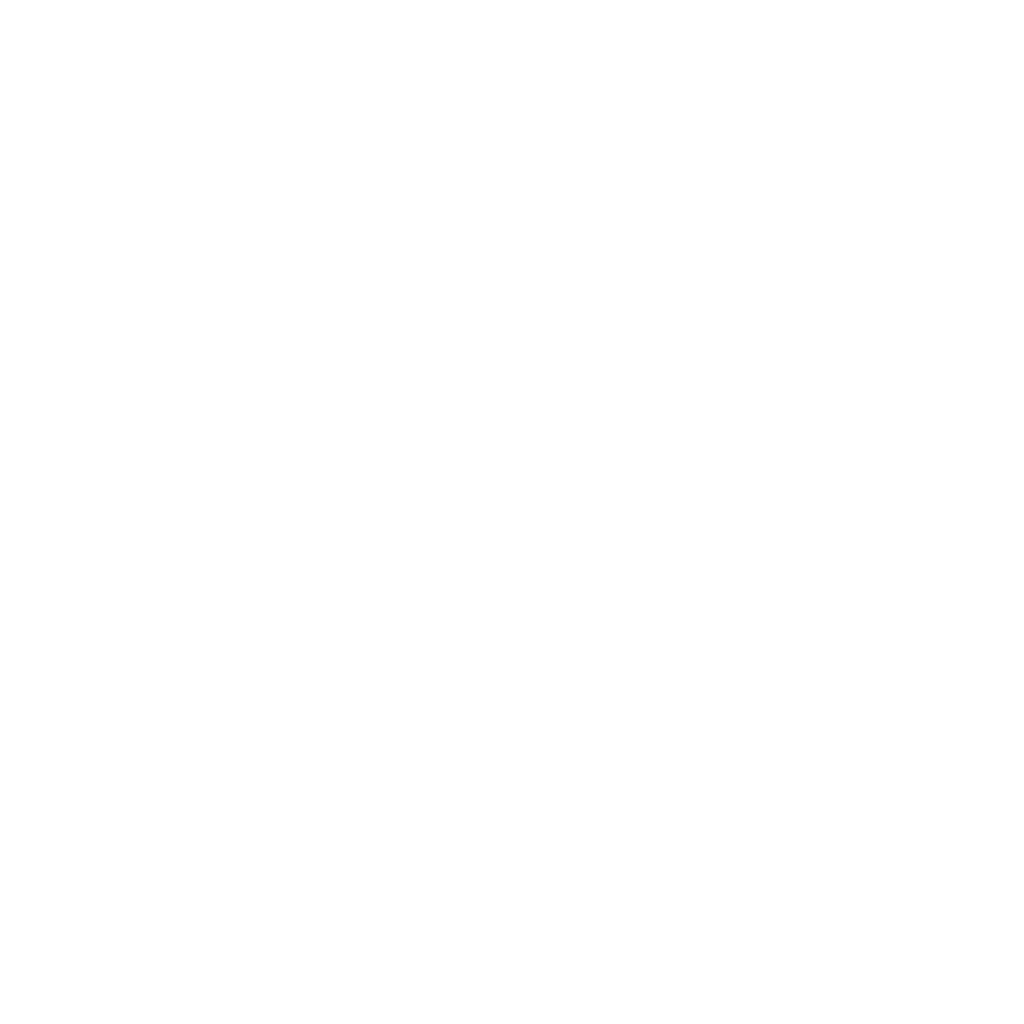 fontijne-logo