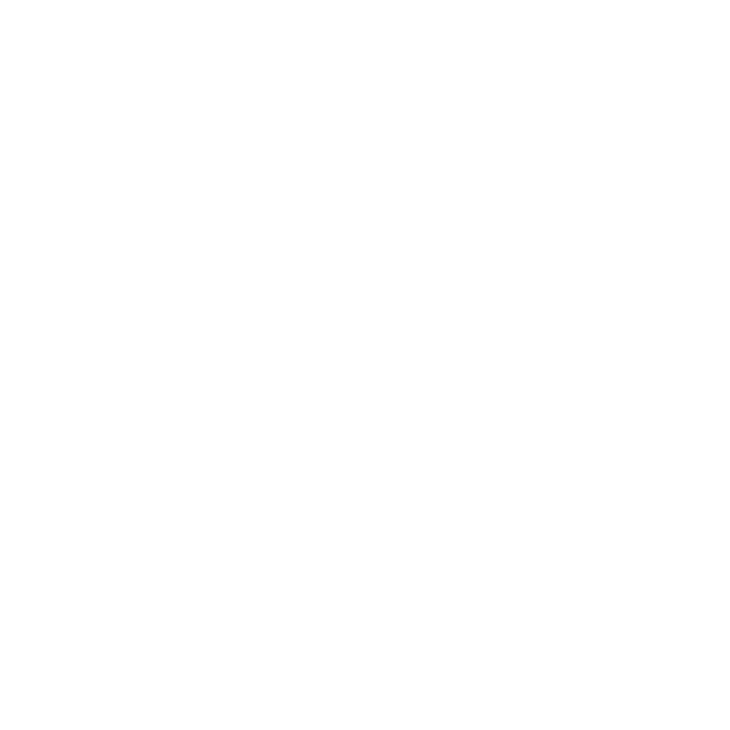 Bruker logo