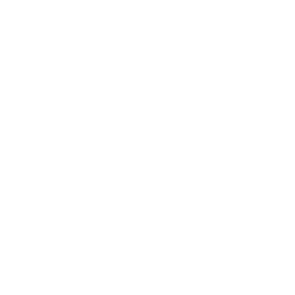 MemSystems logo white